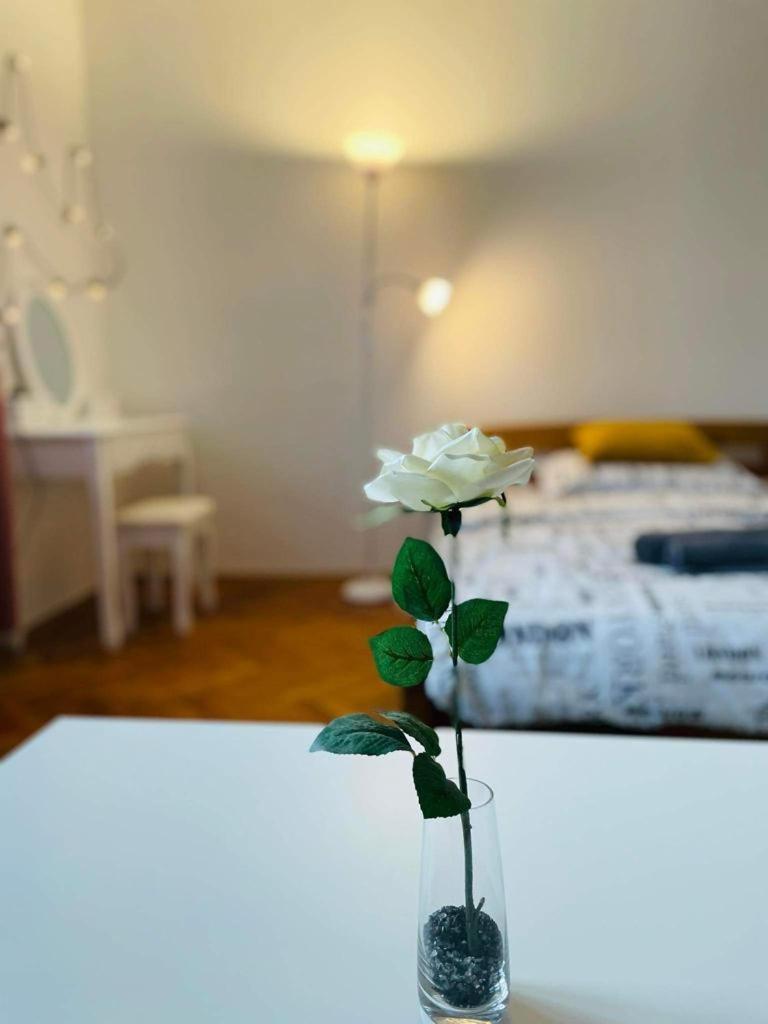 Lovely 2Bdr In Center, Wifi & Self-Check In Bratislava Exterior foto